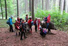 Ohlédnutí za dotačním období 2007-2013 na Lesní správě Buchlovice