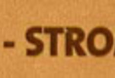 Lesy ČR: dřevinou roku 2014 je douglaska