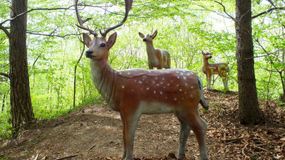 Lesnická naučná stezka Okolo Buchlova