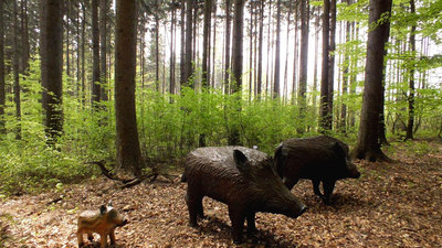 Lesnická naučná stezka Okolo Buchlova