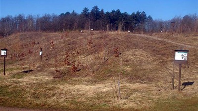 Dendrologická stezka Bubovice