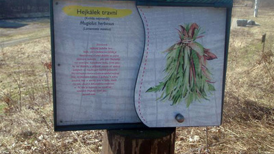 Dendrologická stezka Bubovice