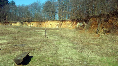 Dendrologická stezka Bubovice