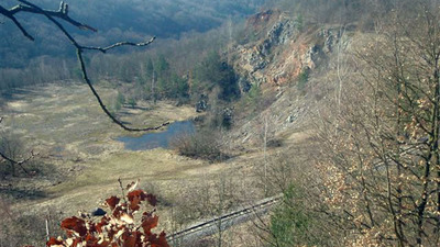 Dendrologická stezka Bubovice