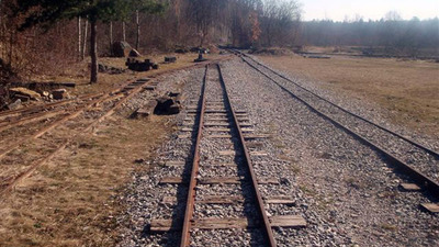 Dendrologická stezka Bubovice