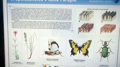 Dendrologická stezka Bubovice