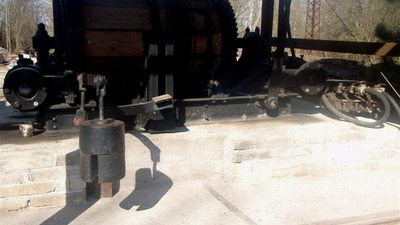 Dendrologická stezka Bubovice