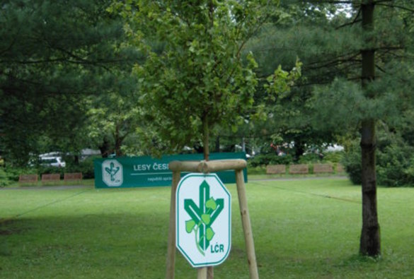 Mezinárodní filmový festival pro děti a mládež Zlín 2006