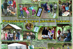 Den s Lesy na LS Litoměřice