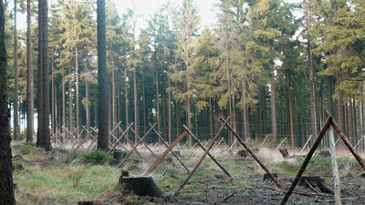 Lesnická naučná stezka Dyleň