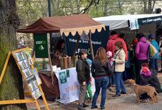 Den Země pod Špilberkem