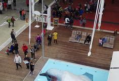 EXPOzice Lesů ČR se po 15 dnech stěhuje z Milána do Čech