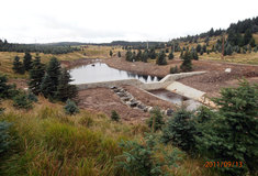 Lesy ČR pomohly zlepšit kvalitu vody ve vodárenské nádrži Fláje