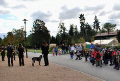 Oslavy lesa ozdobily výstaviště