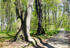 Otevření nové naučné stezky Bažantnice-Obora