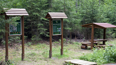 Klokočná – přírodě blízké pěstování lesa