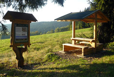 Nová naučná stezka Lesů ČR v Petrovicích na Klatovsku:kouzlo a tajemství středověkého dolování zlata