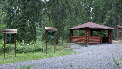 Klokočná – přírodě blízké pěstování lesa