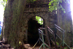 Lesy ČR obdržely ocenění