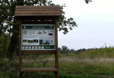 Nová naučná stezka Bučín nabízí poznání krásné přírody, bohaté historie a&nbsp;odpočinek od starostí všedních dnů