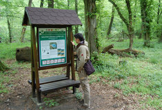 Naučná stezka Lužní les u Břeclavi v Jihomoravském kraji slouží po rekonstrukci opět všem návštěvníkům