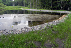 Lesy ČR úspěšně dokončily opravu retenční nádrže u Chvalkovic na Náchodsku