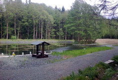 Lesy ČR obnovují zaniklé vodní nádrže v lesích