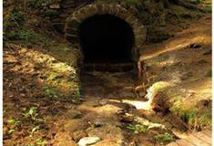 Lesy ČR otevírají nově zrekonstruovanou turistickou stezku Čertova rokle v Máchově kraji