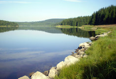 Krušnohorskému Flájskému plavebnímu kanálu svítá i díky Lesům ČR na lepší časy