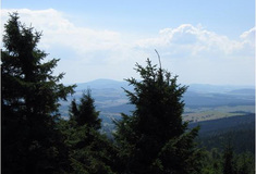 Lesy ČR v říjnu zpřístupní novou rozhlednu na Anenském vrchu v Orlických horách