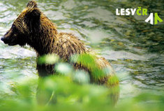 Letní kolo fotografické soutěže