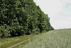 Obnova větrolamů v Jihomoravském kraji