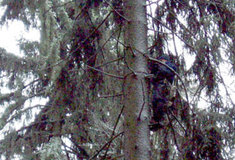 Genová základna na LS Telč