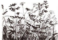 Zamyšlení – Náš les