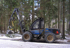 Harvestory v probírkách do 40 let