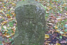 Historie skrytá v lese