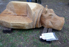 IX. Zlatá hoblina ve Zlatých Horách