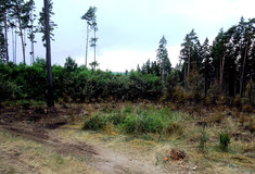 „Hoří!“ Ohlédnutí za letošním příliš horkým létem