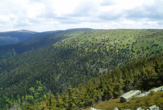 Historický vývoj horských holí v Hrubém Jeseníku