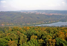 Hospodaření v příměstských rekreačních lesích