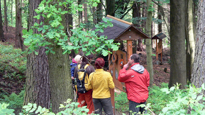 Hravé putování ještědským lesem