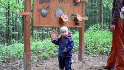 Hravé putování ještědským lesem