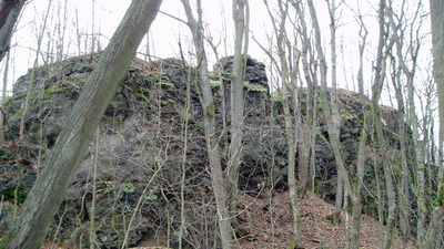 ZANIKLÉ TVRZE V KOZELSKÉM POLESÍ