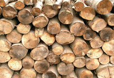 Rekordní investice do pěstební činnosti