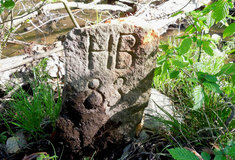 Hranice lesních majetků nejsou jasné ani po 20 letech