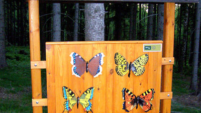 Hravé putování ještědským lesem