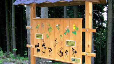 Hravé putování ještědským lesem