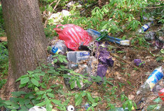 Lesy ČR bojují s černými skládkami