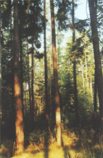  Popis současného stavu demonstračního objektu 