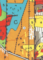 Stanoviště č. 4 - porost 255 C4 
